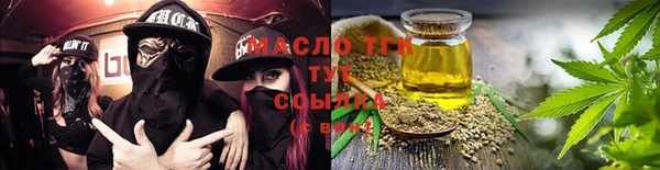 индика Сясьстрой