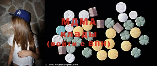 индика Сясьстрой