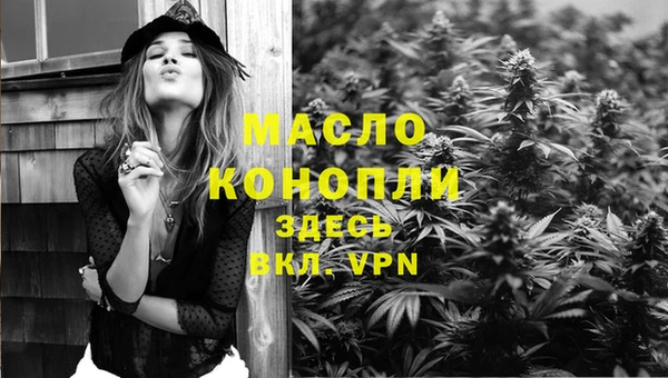 индика Сясьстрой