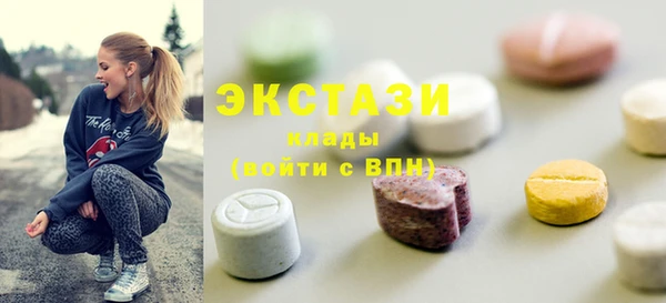 индика Сясьстрой