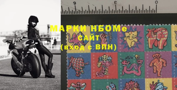 индика Сясьстрой