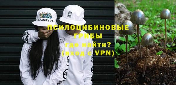 мескалин Тавда
