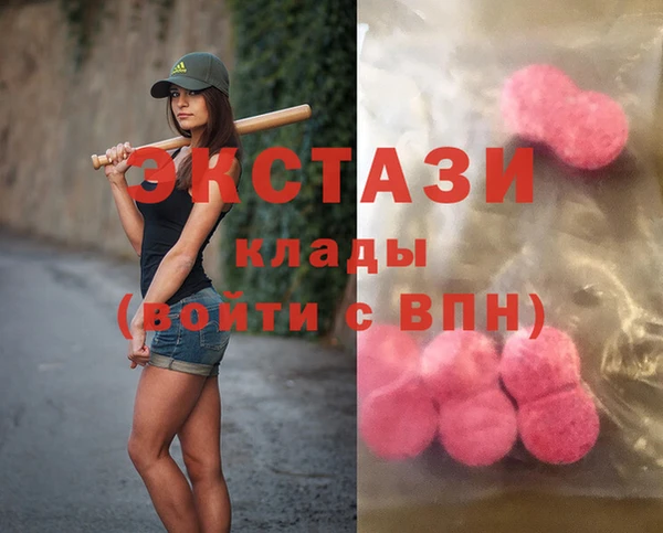 индика Сясьстрой