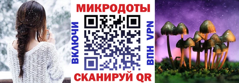 Псилоцибиновые грибы Psilocybe  Купить  Голицыно 